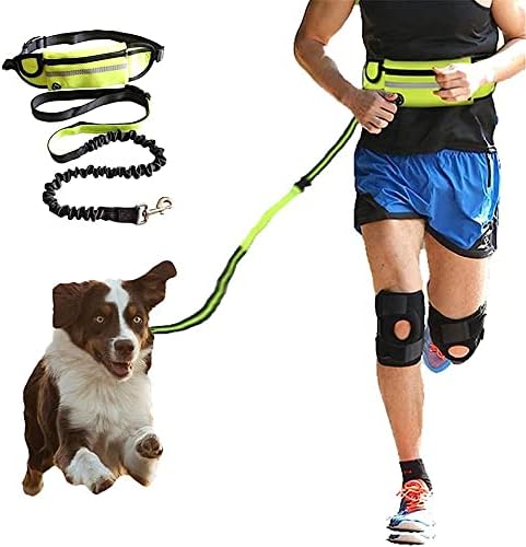 Badalo Dog Leashh Nylon Hand Pet Products Pet Arnês Collar Jogging Pumpa Correia da cintura ajustável Cinturão de tração Corrente/azul/130cm