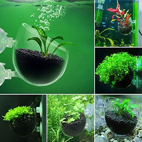 Planta aquática de copo, panela de planta aquática acrílica com copos de sucção para tanques de peixes Aquário do tanque