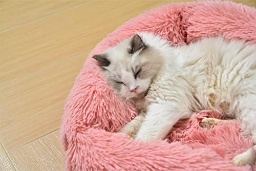 Cama de gatos Gavenia para gatos internos, 22 polegadas macias de almofada longa de pelúcia lavável Caso de animais
