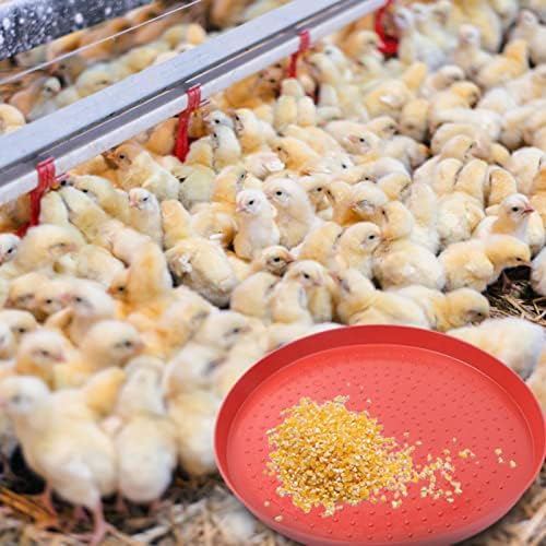 Acessórios para frango Ganazono Gibos alimentadores de galinha 3pcs pratos de alimentação de frango alimentos de alimentos