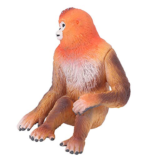Decoração durável do modelo de macaco dourado vívido, modelo prático de macaco dourado da vida selvagem, para casa de
