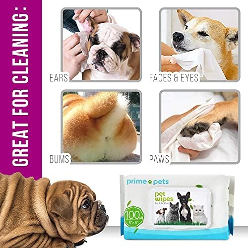 Helditos de cuidados de cães, 600 couros de desodorização de 6x8 polegadas para cães e gatos, de fragrância, lenços naturais de animais de estimação para limpar rostos bums olhos orelhas