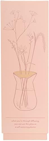 Paddywax Flora Coleção Bulbo Reed Difusor, onças de 4 fluidos, Pink-Willow