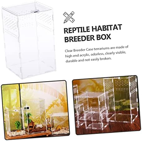 IPETBOOM 3 conjuntos de caixas de alimentação transparentes répteis animais magnéticos Petg Snake recipiente criativo Bins de