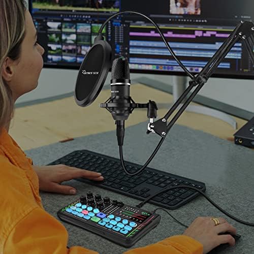 Pacote de equipamentos de podcast Hayner-Seek para 2, Mixer de DJ all-in-one com microfone condensador de diafragma de 3,5 mm para