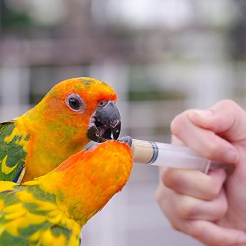 20 compactores seringa de seringa de seringa plástica sem agulha para resina epóxi Craft Scientific Labs Alimentando animais