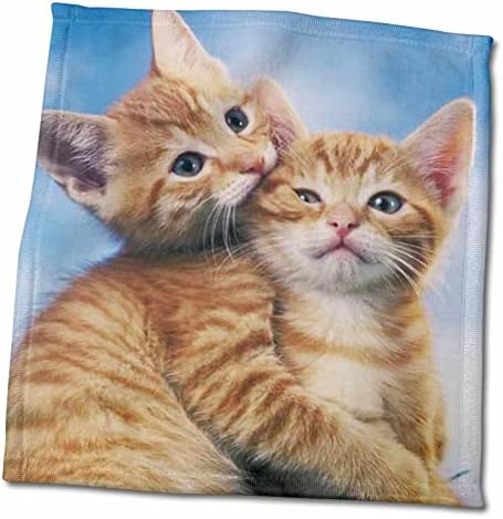 3drose Florene Cats - Kitten Love - Toalhas
