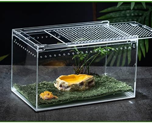 Cinghi Lusso Carpete de Musco Naturais Substando Pet Terrarium Material Material Simulação Rainforest Environment Lizard Lizarsping Hidratante e fácil de limpar