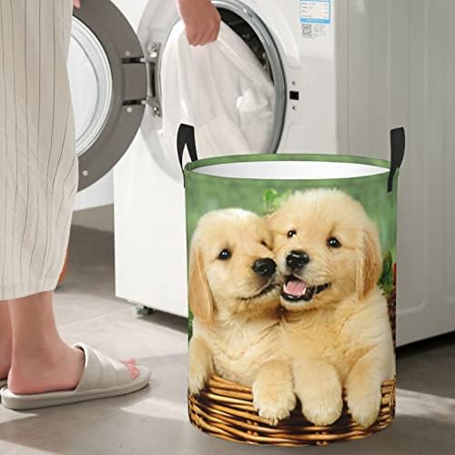 Puppy Golden Retriever Impresso Roupa de lavanderia Circular Circular Circular Roupas Balde de armazenamento Bacho de armazenamento diário Saco de armazenamento S/M Duas tamanhos
