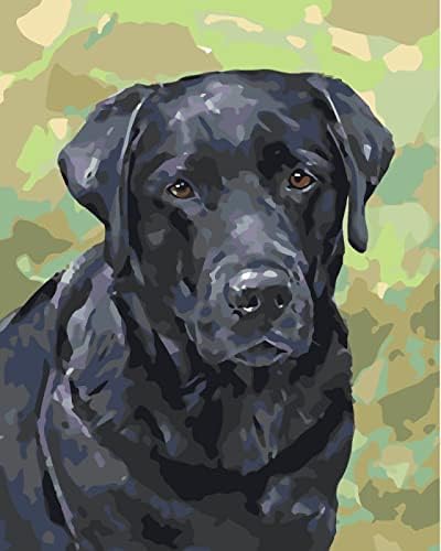 Tinta lxdzxy por números para adultos iniciantes e crianças cães pretos no verde pictures de tela desenho de desenho de pintura