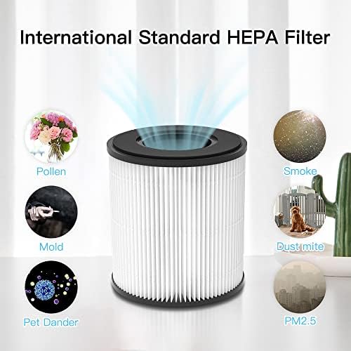 Filtro Diki HEPA para purificador de ar, adequado para uma grande casa de até 270 ft², filtro H13 verdadeiro de ozônio, remova 99,97% de pólen, pêlos de estimação, odores de fumaça, poeira e outras partículas