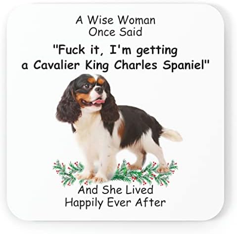 Disso engraçado Presentes para os amantes de animais Cavalier King Charles Spaniel Tri Color Uma mulher sábia disse que a montanha -russa do Natal 2023