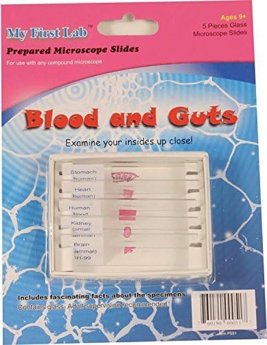 Conjunto de slides preparados para microscópio - sangue e tripas
