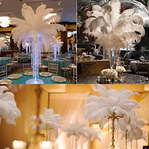 Casa de algodão de qualidade Branca Avestruz preta de avestruz 25-30cm/10-12 polegadas pluma natural para festa de casamento