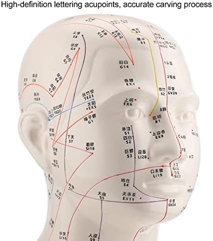 HD Padrão TCM Modelo de cabeça de acupuntura humana, acupuntura PRÁTICA DE ENCESSÃO PRÁTICA DE FERRAMENTAS E APRENDIZAGEM MODELO DE