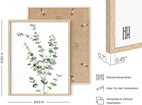 Haus e tons de estampas botânicas emolduradas - Conjunto de 4 imagens emolduradas Arte da parede, decoração botânica, decoração de eucalipto, decoração de parede de plantas, arte de emoldura de parede botânica, estampas de plantas emolduradas