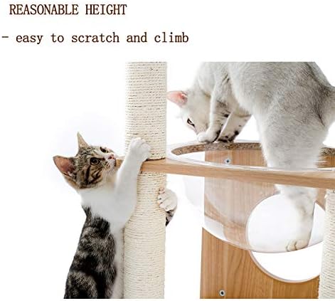 Móveis de gato Torre de gato de gato com sisal postes de arranhões na plataforma de cama de gato bola balling bola. Bola de gota de pelúcia de travesseiro transparente.