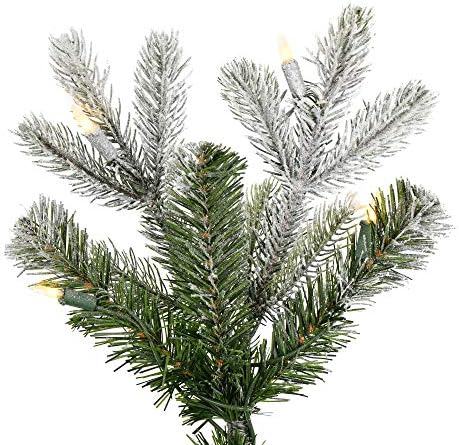 Vickerman 5 'Fosco Wendell Slim Poted Pine Artificial Christmas Tree, Luzes LED de LED de Dura Branca quentes - Árvore de Natal
