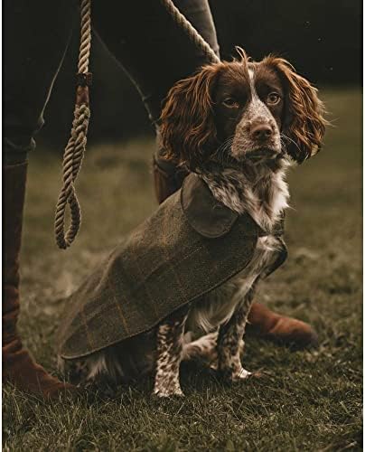 Walker e Hawkes - Derby Tweed Alfie Dog Coat - Sage Check - Medium