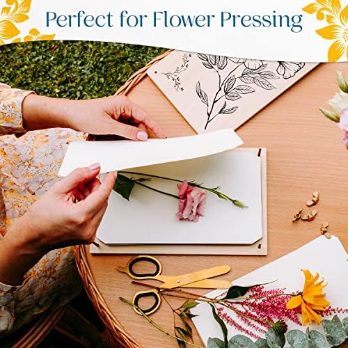 Papel de transferência de flores para prensa de flores por Berstuk® • Refiliação de papel da prensa de flores 5,9 polegadas x 10
