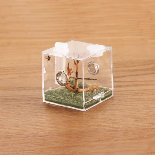 Micro Middle Middat Habitat, caixa de criação de insetos pequenos, caixa de criação de insetos pequenos, gaiola de réptil