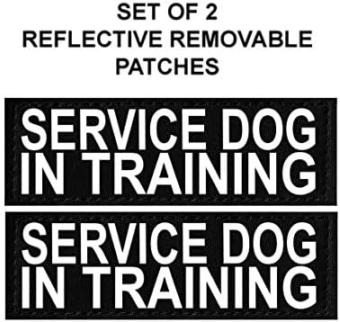 Cão de serviço do Doggie Stylz no colete de treinamento com tiras de gancho e loop e alça - o arnês vem nos tamanhos xxs para xxl - três cores - o chicote de cães apresenta 2 patches reflexivos