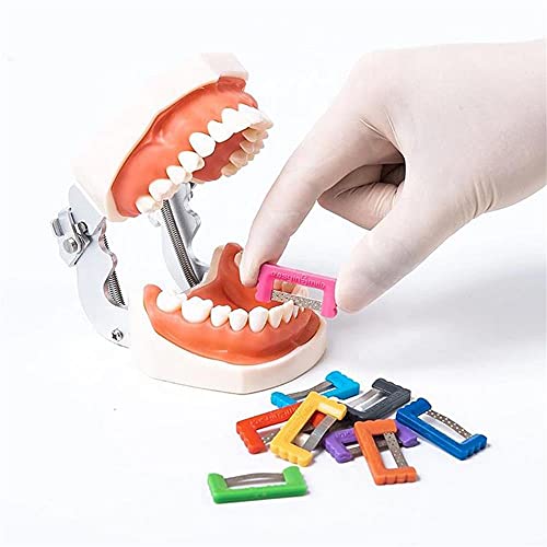 10PCS Dental Proximal Surface Polishing Polishing e Removing Dente Stains Cleaning Tools Ref4201003