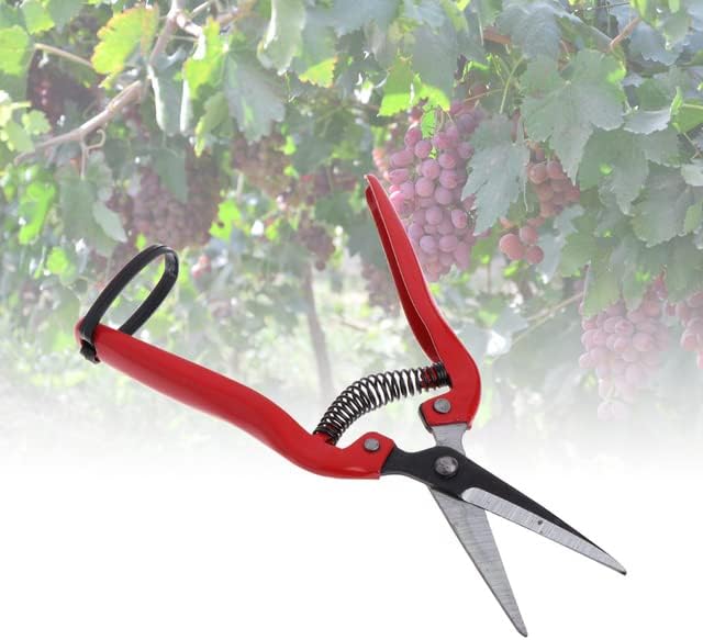 Planta podar tesouras cortador de jardim ramo de filas tesouras para poda de mão ferramenta