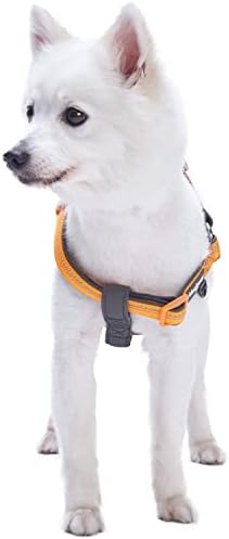 Blueberry Pet macio e confortável 3m refletindo o chicote de cachorro de cor pastel acolchoada, cinturão de peito 20 - 26, lavanda, médio, arnês ajustável para cães