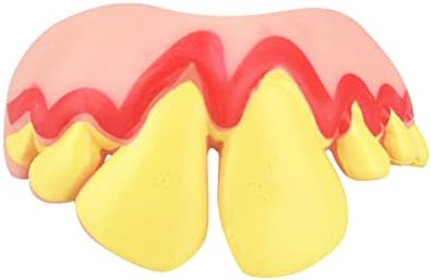 Slakkenreis dentes engraçados brinquedos brinquedos halloween dentaduras engraçadas com um tamanho único