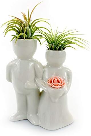 NW Wholesaler Ceramic People Plantadores para plantas de ar - vaso de planta de ar - plantadores de exibição superior da mesa para plantas de ar e outras mini plantas