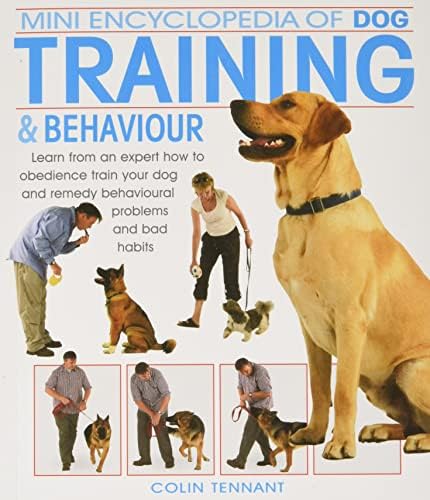 Mini enciclopédia de treinamento e comportamento de cães