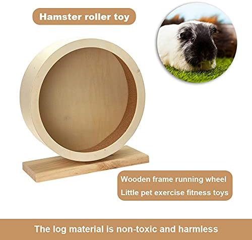 Lepsjgc Hamster Wheel Toys Pet Supplies