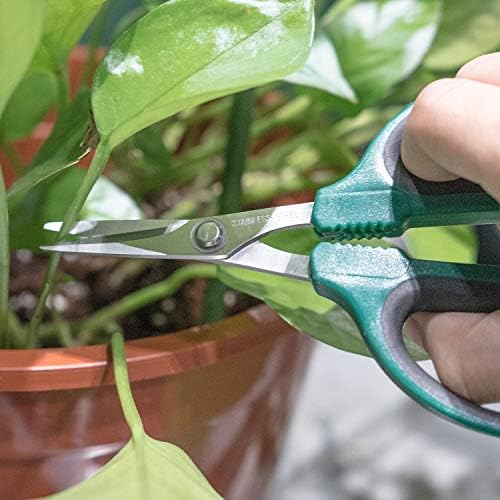 Skinnybunny Bonsai Shears com lâminas de aço inoxidável durável de 40 mm, corte e poda precisos, tesoura de jardim ideal em flores e bronsai