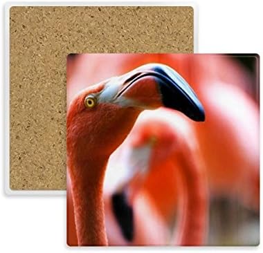 Organismo terrestre Flamingo Animal selvagem Coaster Coar