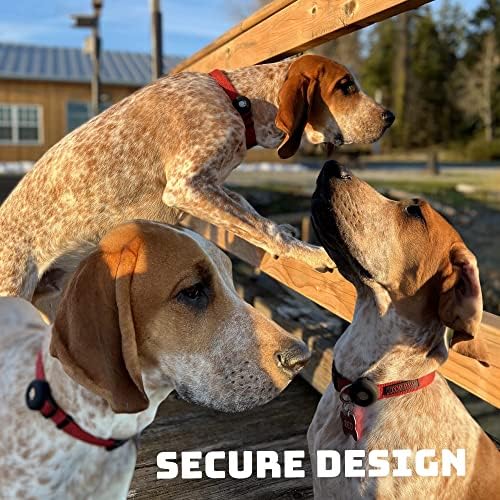 2 Pacote de tags de ar para colarinho de cães e colares de gato - projetados para acessórios de suporte para apple airtag para animais de estimação - Caixa de etiqueta de rastreador GPS para cães de estimação da coleira ou rastreamento de colarinho…