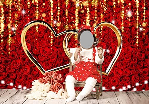 Rosa Rosa Vermelho Cenário do Dia dos Namorados para Fotografia Love Hearts Decoração Caso -Caso de 8x6ft Casamento Bridal Chuveiro