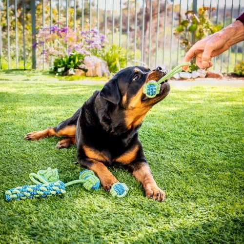 Zoo Sneia corda de cachorro Chew Toys for Dog - Conjunto de 6