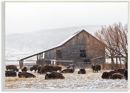 Stuell Industries Snow Dusted Barn Buffalo Bison Rural Farm, Design de Jeff Poe Photography
