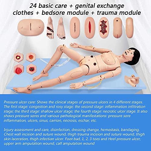 Enfermagem Manikin PVC Feminino Modelo Humano Anatômico com Genitália e Roupa e Módulo Bedsore e Módulo de Trauma e Bolsa de