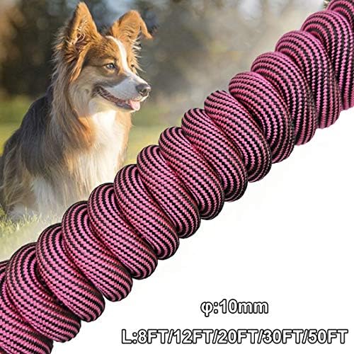 Btinesful 12ft Dog Atry Out corda + 10ft Basic Dog Leashh
