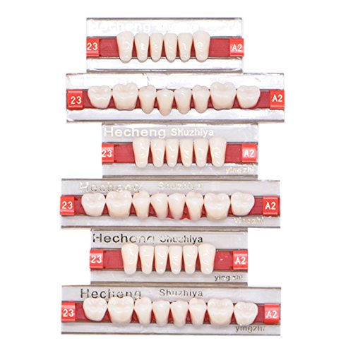 84 PCS Dentura de dente de resina sintética dental 3 Departamentos falsos para dentes de horror de Halloween 23 a2