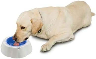 A tigela de cachorro de estimação gelada permanece fresca para o cão de 8 horas de bebida com água gelada de verão quente