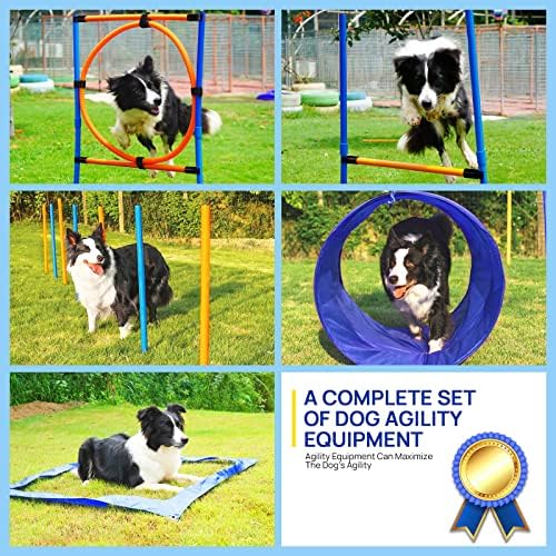 Yon.sou. Equipamento de treinamento de agilidade para cães para cães Crada de obstáculos no quintal, curso de agilidade de cães com agilidade de cães de 10 pés Túnel 2 de areia, bastões, anel de salto para cães, caixa de pausa