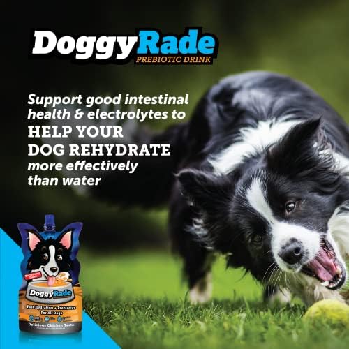 Doggyrade - bebida esportiva para cães | Eletrólitos, nutrientes e aminoácidos | Bebida de hidratação rápida para cães + baixa caloria | Mais do que apenas água! | Sabor de frango