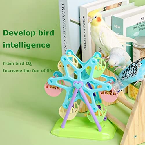 Seis Ferris Wheel Toy for Bird com treinamento de alimentação Parrot Food Box Birds Brain Game in Cage