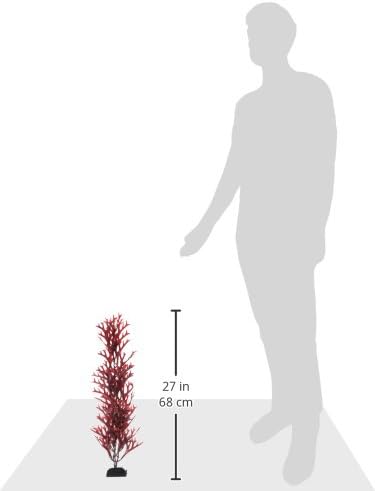 WECO Plant Giant Kelp Ornament, 30 , vermelho