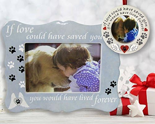 Banberry Designs Remembrance Pet - quadro de imagens e combo de ornamento - Se o amor pudesse ter salvo você, você