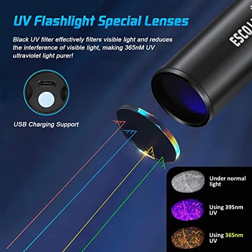 Lanterna UV Lite UV Luz negra, lanterna ultravioleta recarregável de 365nm, lanterna leve azul para detecção de urina para animais