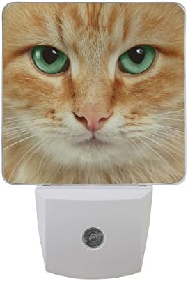 NAANLE Conjunto de 2 fofo Kitten Red Kitten Retrato Head Sensor Auto Led Dusk To Dawn Night Light Plug in Indoor for Adults